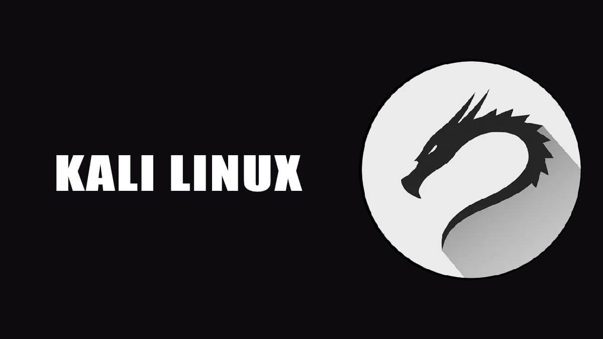 Kali linux iso file download 64 bit jasplex